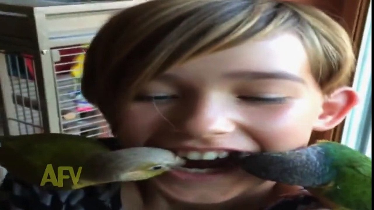 Kuşları Ağzı ile Besleyen Çocuğun Hazin Sonu