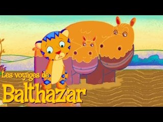 Les Voyages de Balthazar - Balthazar et les hippopotames S01E09 HD