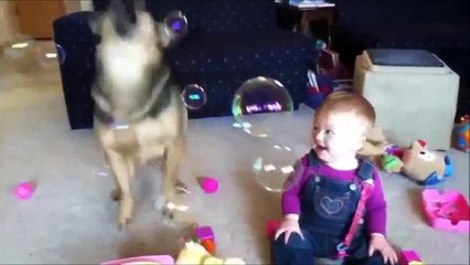 WHEN DOGS & BABIES COLLIDE