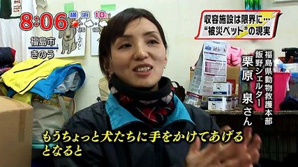 20120311　被災地に残るペット達