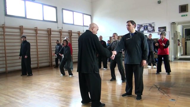 COME MUOVERE LE BRACCIA NEL TAIJI QUAN - M° FLAVIO DANIELE