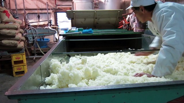 How to make Japanese sake（日本酒の造り方） - Wakura Sake Brewery（和蔵酒造） - Highlights（総集編） - Japanese-sake.club