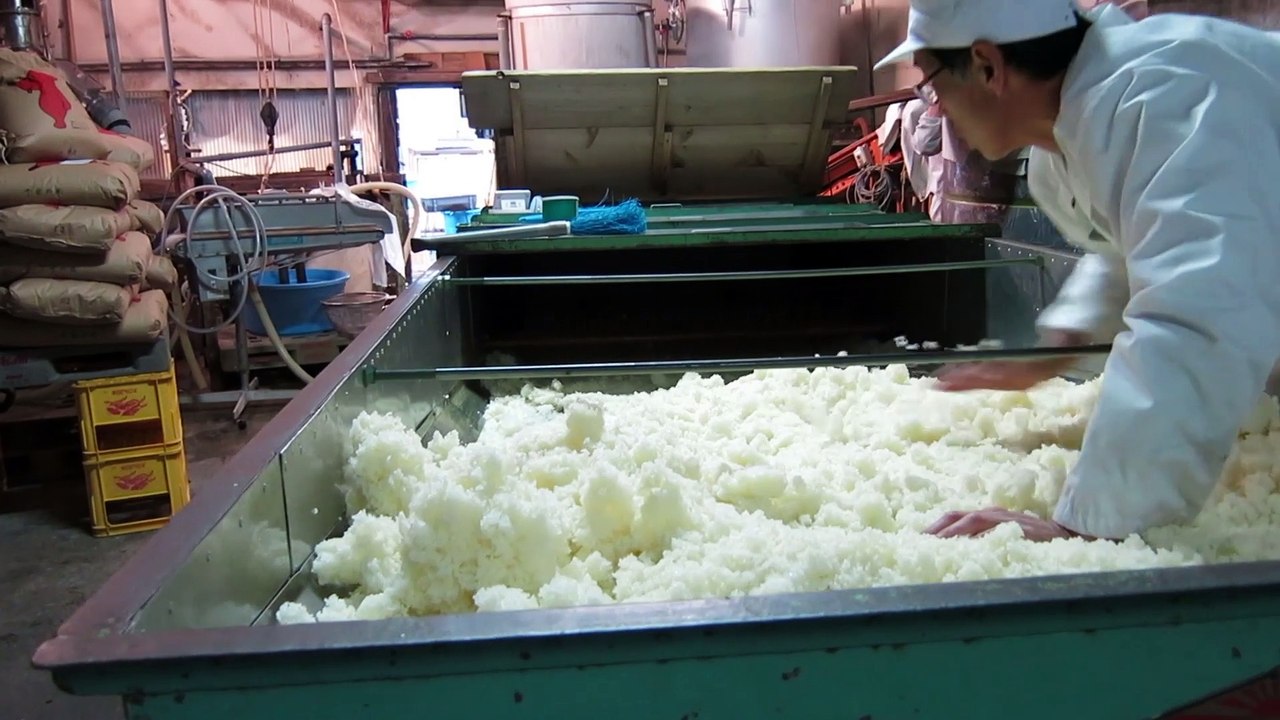 How to make Japanese sake（日本酒の造り方） - Wakura Sake Brewery（和蔵酒造） - Highlights（総集編） - Japanese-sake.club