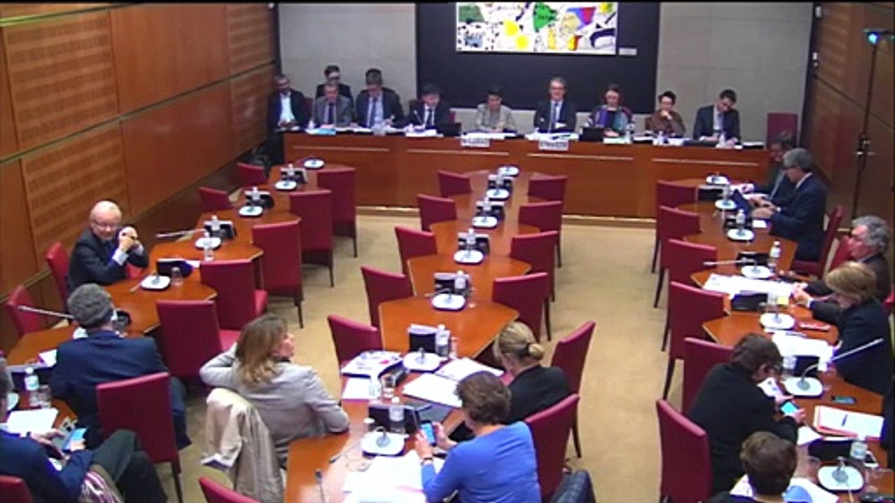 INTERVENTION EN COMMISSION AFFAIRES CULTURELLES ET EDUCATION LE 28 JANVIER