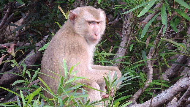 Ökône Cambodia⎢Road Trip