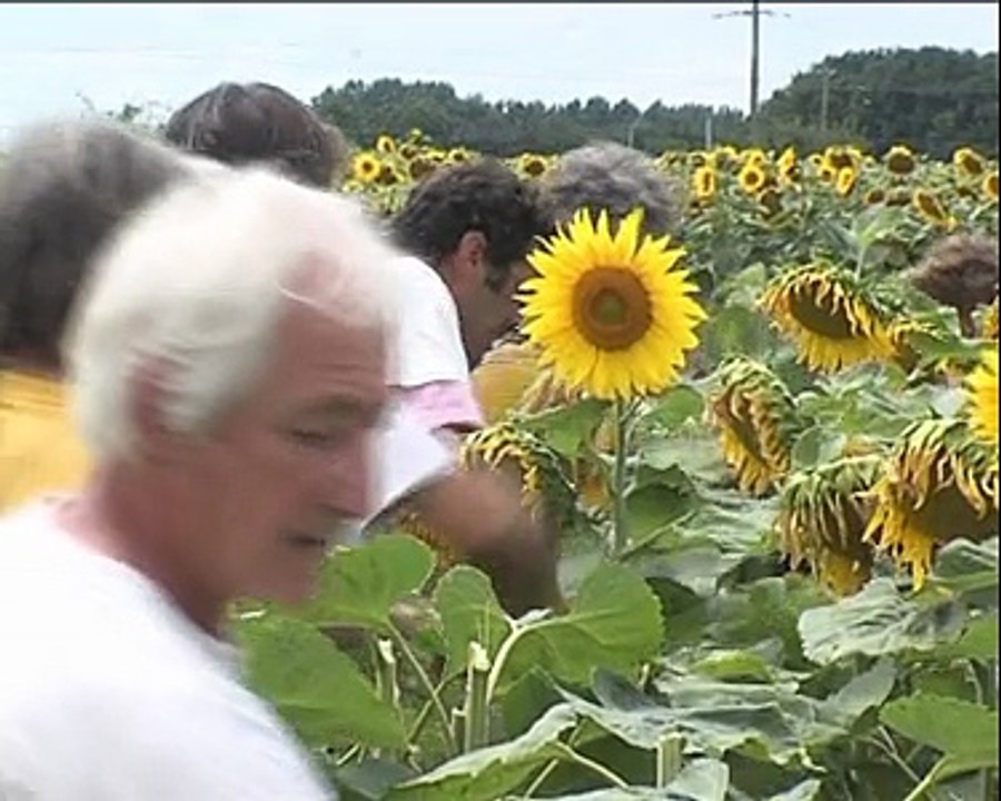 100726_JT.faucheurs ogm