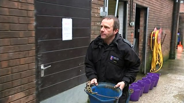 Brian the police horse may keep name after campaign