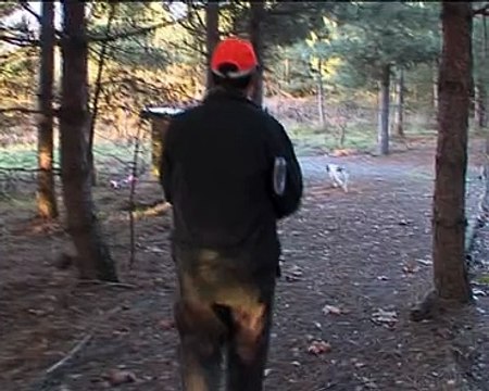 101217.JT.chasse becasse