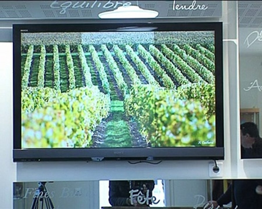 110105.JT.Vouvray tours plus