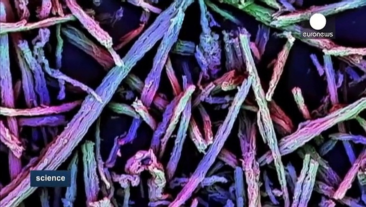 Mit Stäbchen gegen Ebola und Krebs