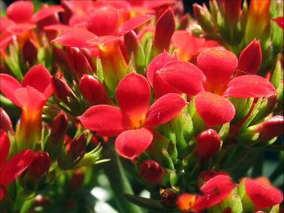 AZİZE GENCEBAY--ayrılmasak ne çıkar