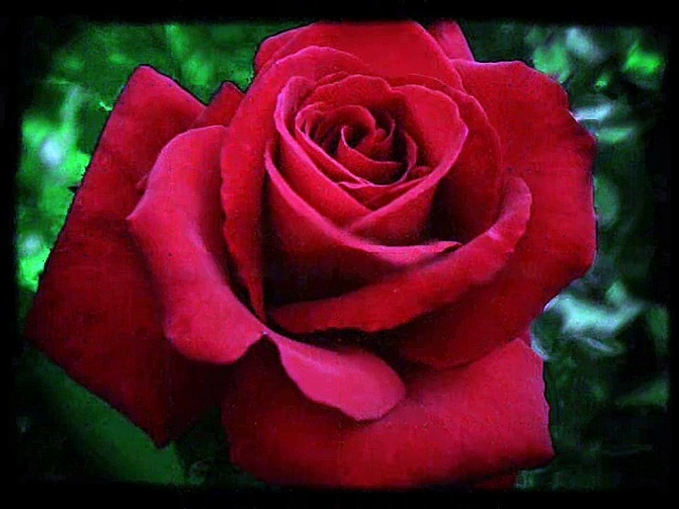 Calling Me Home-Fred Rich Hotel Astor Orchestra