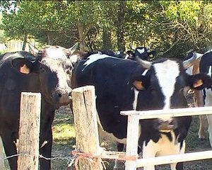 110523.JT.secheresse verneuil