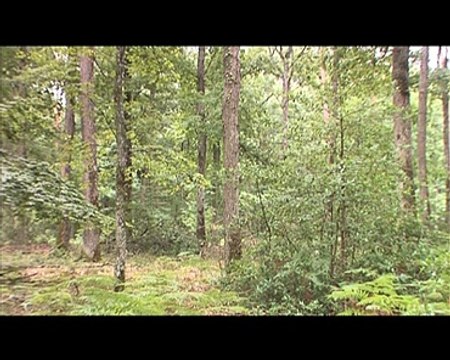 110720.JT.plan rechauffement climatique