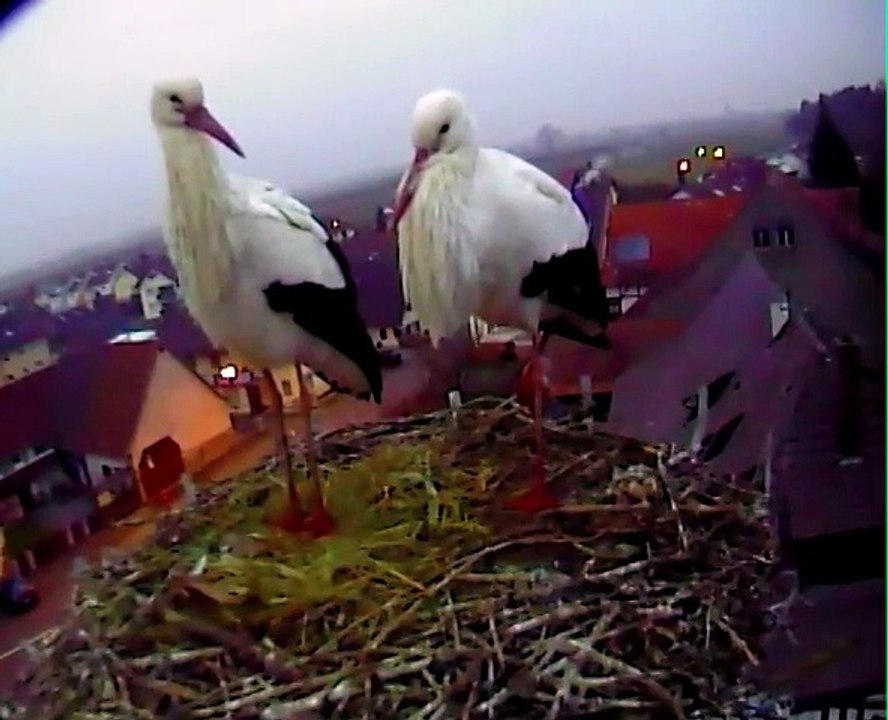 16.02.15 Bonsoir et bonne nuit / Guten Abend und gute Nacht