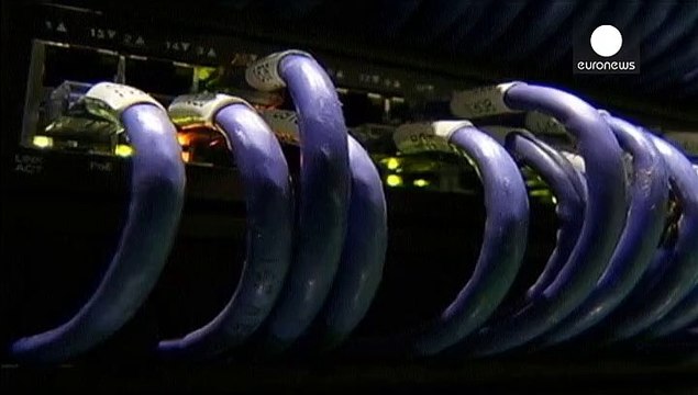 Criminosos informáticos roubam mais de 800 milhões de euros a bancos