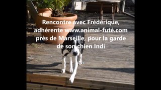 Garde de chien, témoignage de Frédérique à Marseille sur l'échange entre particuliers et Animal Futé