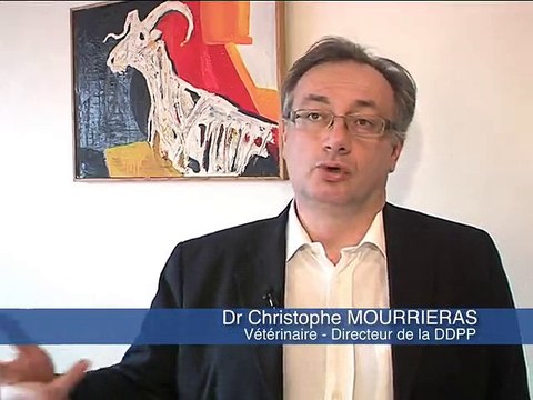 120228.JT.chevre malade