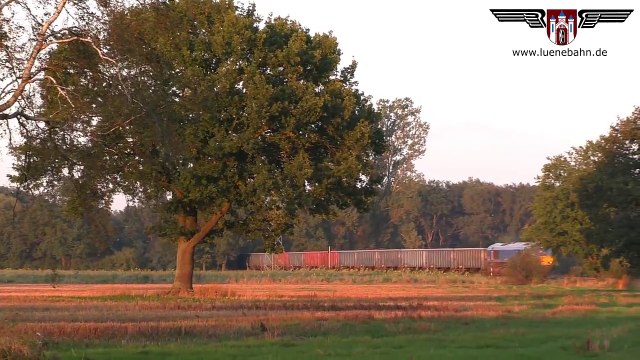 Class 66 der Lappwaldbahn uber die OHE von Winsen nach Bergen