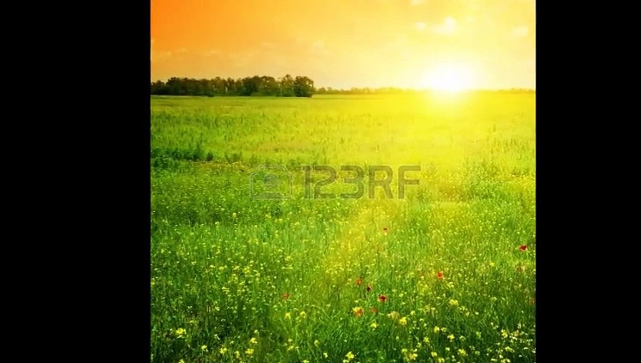 Sunny