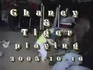 Big dog tickling baby Funny video clips, hilarious amazing funny videos