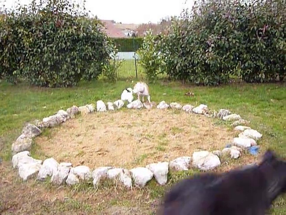 Gally, détend, Gally détend maintenant ^^