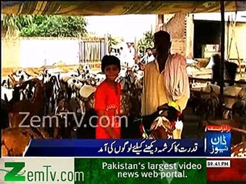 Gujranwala mai bakray ne doodh dena shuru krdia