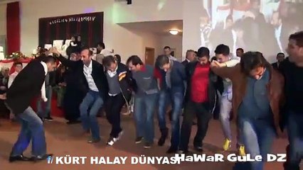bingöl çewlik yöresî hawar gulê hawar gulê