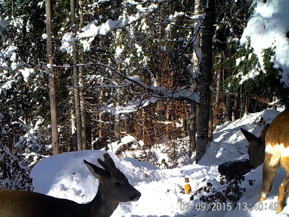2015-chev-mont-2