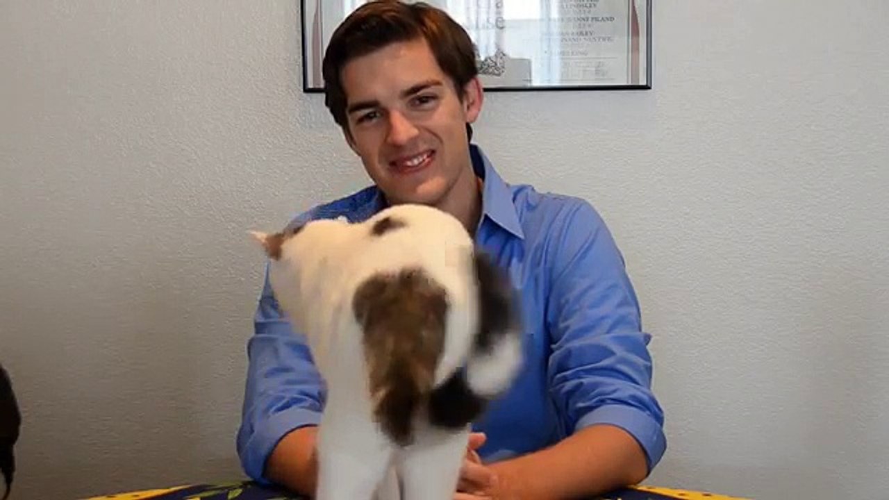 CatPat is a jerk...