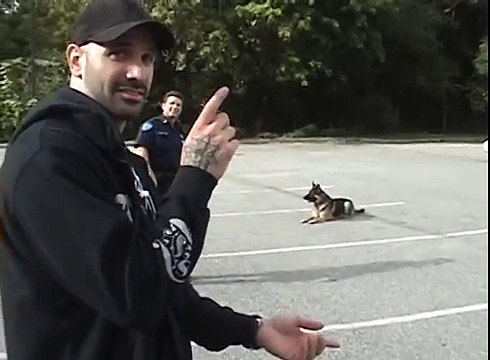 Un chien policier ouvre et ferme une porte de voiture