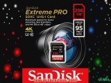 Sandisk Extreme Pro Carte m?moire SDXC 256 Go Classe 10 U3 SDSDXPA-256G-G46