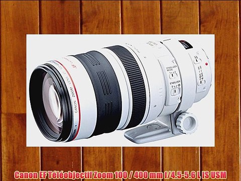 Canon EF T?l?objectif Zoom 100 / 400 mm f/4.5-5.6 L IS USM