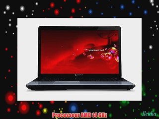 Packard Bell Easynote LE69KB-12504G1TMnsk Ordinateur portable 173 (4394 cm) AMD 2500 14 GHz