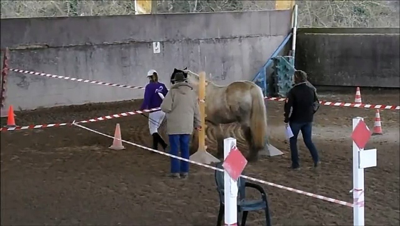 Equifeel élite blagny sur therain