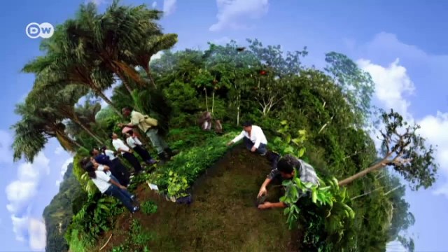 South Africa: Saving the plant kingdom | Global 3000