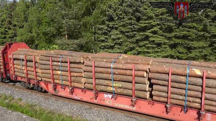 OHE 200087 mit gemischtem Guterzug auf der Luhebahn