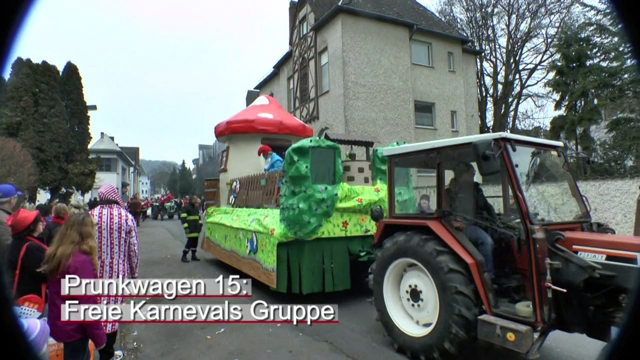 Rosenmontagszug Andernach 2015  2/2
