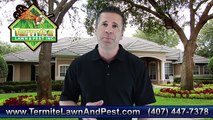 Orlando Pest Control Orlando - 407-447-7378 - Orlando Termite Control - Pest Control Orlando