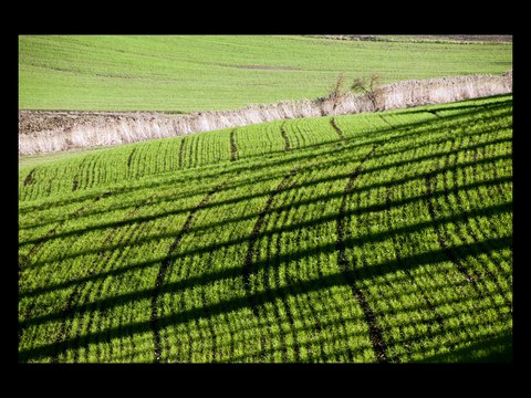 Out and About in the Val d'Orcia 1080p