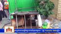 Khmer News, Hang Meas News, HDTV, Afternoon, 16 February 2015, Part 02