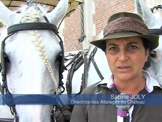 120807.JT.caleche blois