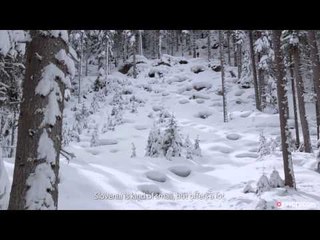 You'll Never Believe How Good The Backcountry Lines Are In Slovenia | Untouched Project, Ep. 1