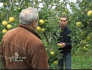 La Bonne Etape - Les pommes