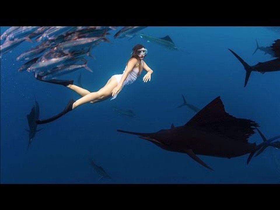 Roberta Mancino Bikini Dives With, And Dodges, The World's Fastest Fish | Robertalicious, Ep. 5