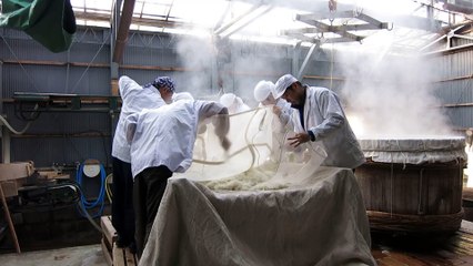 How to make Japanese Sake - Mushi and Horei (Steaming and Cooling) Part 2