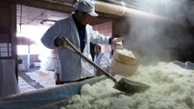 How to make Japanese Sake - Mushi and Horeiba(Steaming and cooling) Part 1