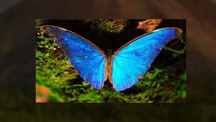 Costa Rica Turismo
