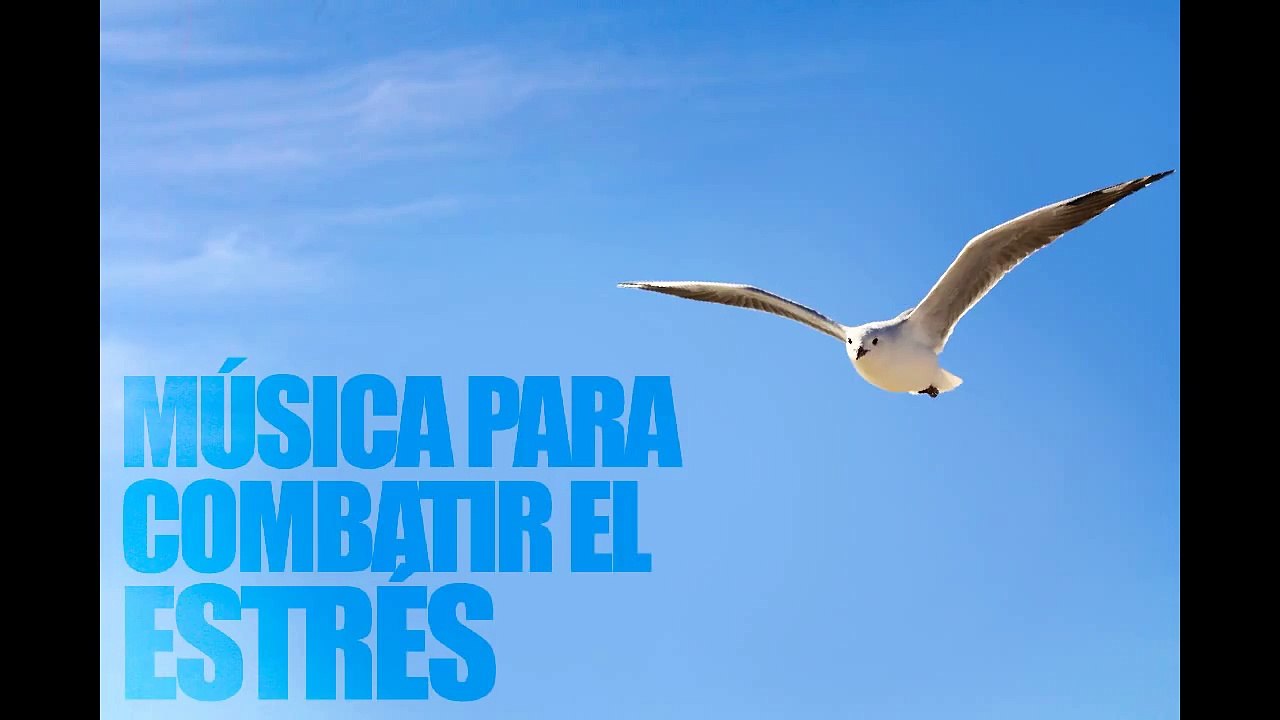MÚSICA PARA COMBATIR EL ESTRÉS