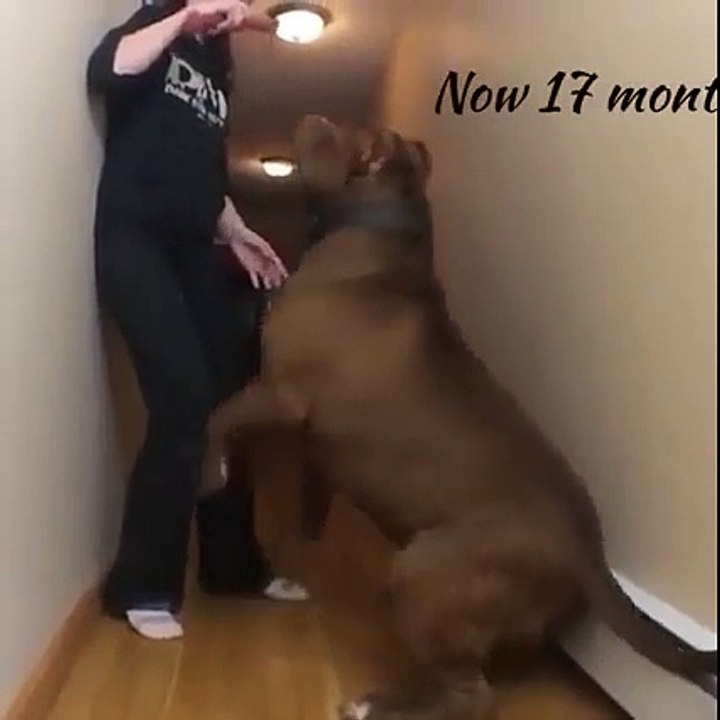 woww